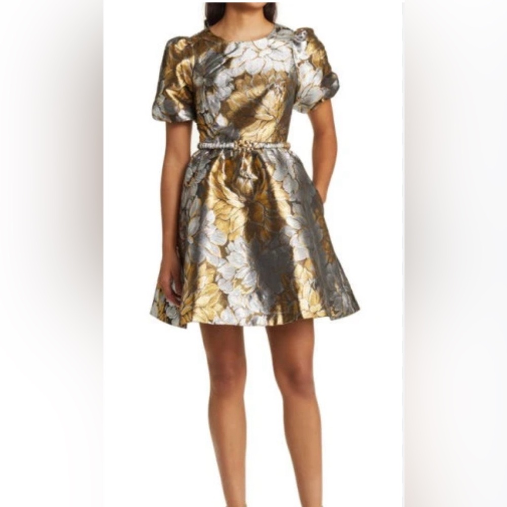 Lilly Pulitzer Priyanka Dress NWT size 14